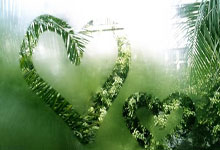 英冠南安普敦vs普雷斯顿最新情况如何?