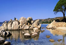 西班牙人队近期有哪些关键动态?阵容、赛事与引援都有新变化?